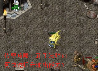 ���湥�ԣ����ַ�ʦ��ο����������������