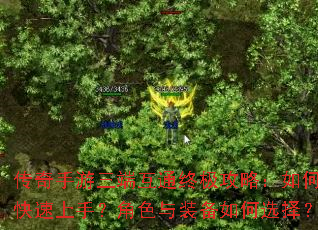 �����������˻�ͨ�ռ����ԣ���ο������֣���ɫ��װ�����ѡ��