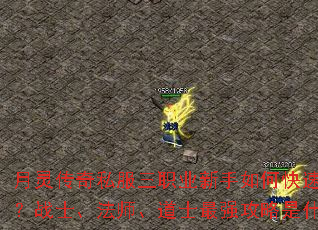 ���鴫��˽����ְҵ������ο������֣�սʿ����ʦ����ʿ��ǿ������ʲô��