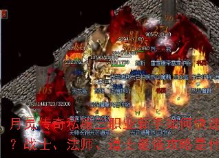 ���鴫��˽����ְҵ������ο������֣�սʿ����ʦ����ʿ��ǿ������ʲô��