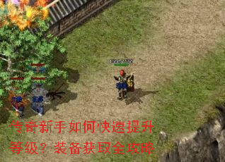 ����������ο��������ȼ���װ����ȡȫ����