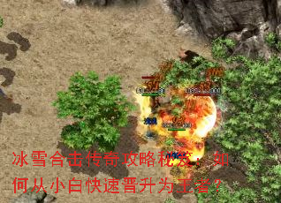 ��ѩ�ϻ����湥�����ţ���δ�С�׿��ٽ���Ϊ���ߣ�