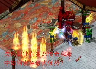 ��ʦְҵ�ڱ�̬����˽������η���������ƣ�