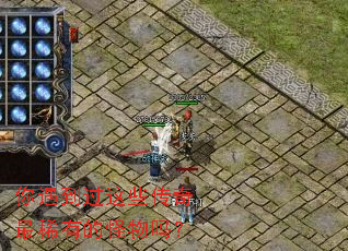 ����������Щ������ϡ�еĹ�����