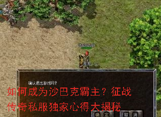 ��γ�Ϊɳ�Ϳ˰�������ս����˽�������ĵô����