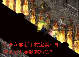 传奇私服新手村宝典:如何从零开始制霸玛法? 传奇私服新手村宝典:如何从零开始制霸玛法?