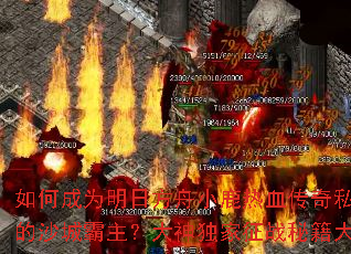 ��γ�Ϊ���շ���С¹��Ѫ����˽���е�ɳ�ǰ��������������ս�ؼ��󹫿�