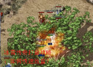 ��ѩ�������ԣ���ο����¸���