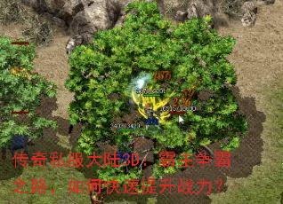 ����˽����½3D����������֮·����ο�������ս����