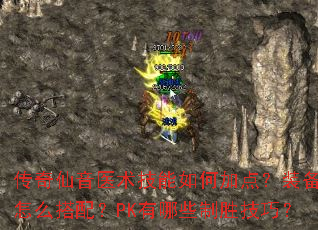 传奇仙音医术技能如何加点?装备怎么搭配?PK有哪些制胜技巧? 传奇仙音医术技能如何加点?装备怎么搭配?PK有哪些制胜技巧?