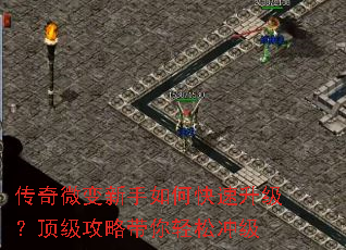 传奇微变新手如何快速升级?顶级攻略带你轻松冲级 传奇微变新手如何快速升级?顶级攻略带你轻松冲级