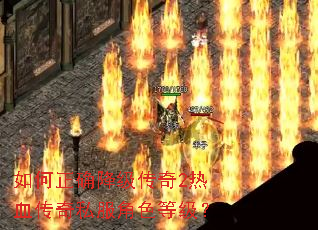 �����ȷ��������2��Ѫ����˽����ɫ�ȼ���