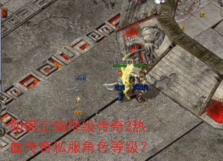 �����ȷ��������2��Ѫ����˽����ɫ�ȼ���