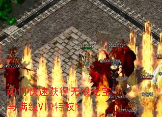 ��ο��ٻ������Ԫ��������VIP��Ȩ��