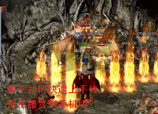 ������ο������ִ���˽�������ֻ��棿