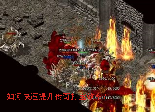 ��ο������������Ч�ʣ�