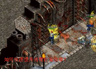 ��ο������������Ч�ʣ�