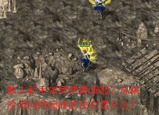 ɢ��������ο��������ݺ�ɳ���ʶ��۷�ľ�����ʲô��