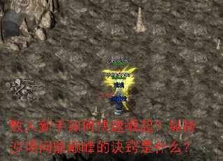 ɢ��������ο��������ݺ�ɳ���ʶ��۷�ľ�����ʲô��