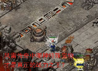 风雷传奇中哪种特殊宠物才是真正的战力之王? 风雷传奇中哪种特殊宠物才是真正的战力之王?