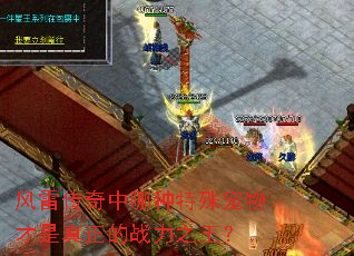 风雷传奇中哪种特殊宠物才是真正的战力之王? 风雷传奇中哪种特殊宠物才是真正的战力之王?