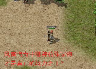 风雷传奇中哪种特殊宠物才是真正的战力之王? 风雷传奇中哪种特殊宠物才是真正的战力之王?