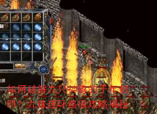 ����ƽ��ֻ���޵�ǧ���ӡ�����������ռ����Խ���