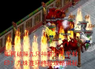 ����ƽ��ֻ���޵�ǧ���ӡ�����������ռ����Խ���