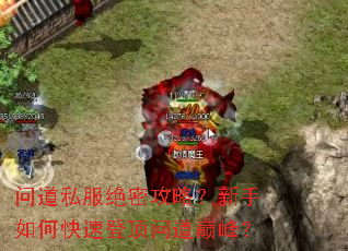 �ʵ�˽�����ܹ��ԣ�������ο��ٵǶ��ʵ��۷壿