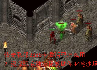 ����˽��2888����������ô�ã�������Ҷ�����������߳��ɳ��