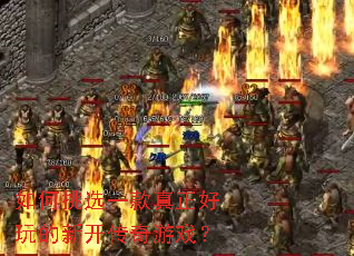 �����ѡһ������������¿�������Ϸ��