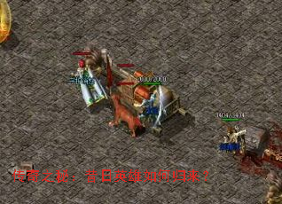 ����֮�أ�����Ӣ����ι�����