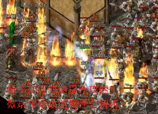 ������ο����������٣�΢�˴��湥������ȫ����