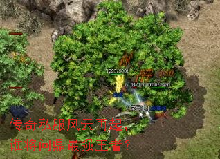 ����˽����������˭���ʶ���ǿ���ߣ�