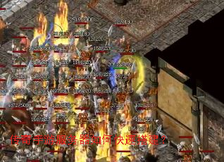 �������η�������ο��ٴ��