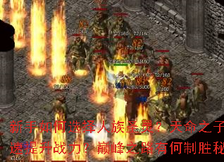 �������ѡ������ʥ�飿����֮����ο�������ս�����۷�֮·�к���ʤ�ؼ���