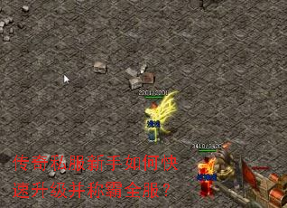 ����˽��������ο����������ư�ȫ����