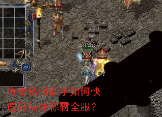 ����˽��������ο����������ư�ȫ����