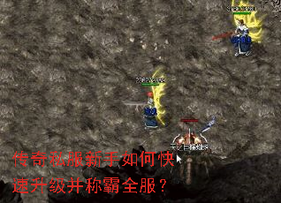 ����˽��������ο����������ư�ȫ����