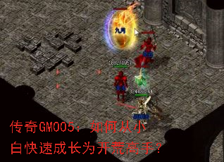 ����GM005����δ�С�׿��ٳɳ�Ϊ���ĸ��֣�