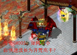 ����GM005����δ�С�׿��ٳɳ�Ϊ���ĸ��֣�