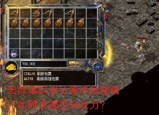 ���ⵥְҵ˽���ռ��ؼ�����ο�������ս����