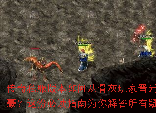 ����˽���汾��δӹǻ���ҽ���Ϊ�������ݱض�ָ��Ϊ������������