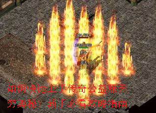 ��ο������ִ��湫���������أ����ֱؿ�����ָ��