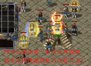 ����˽����ѩ��ְҵ���Ĺ��ԣ�������ο��ٳɳ�Ϊս��֮����