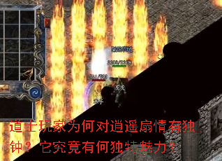 ��ʿ���Ϊ�ζ���ң�����ж��ӣ��������кζ���������