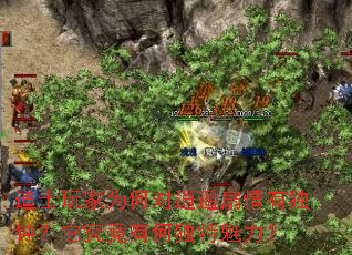 ��ʿ���Ϊ�ζ���ң�����ж��ӣ��������кζ���������