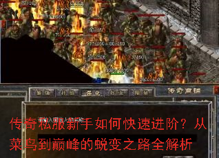 ����˽��������ο��ٽ��ף��Ӳ����۷���ɱ�֮·ȫ����