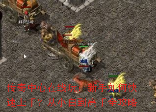 �������������棺������ο������֣���С�׵�����ȫ����