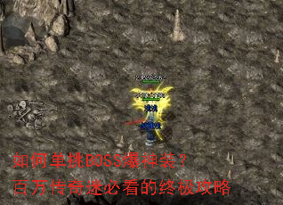 ��ε���BOSS����װ���������Աؿ����ռ�����